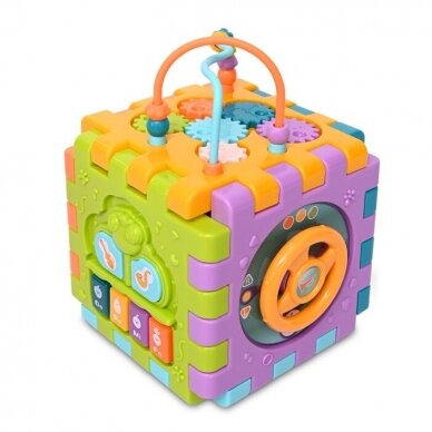 Lavinamasis kubas Activity Cube 1